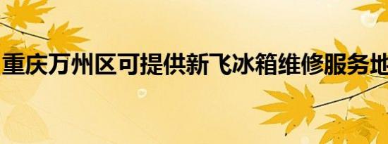 重庆万州区可提供新飞冰箱维修服务地址在哪
