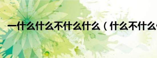 一什么什么不什么什么（什么不什么什么）