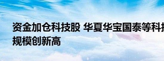 资金加仓科技股 华夏华宝国泰等科技类ETF规模创新高