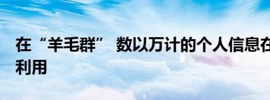 在“羊毛群” 数以万计的个人信息在被转卖、利用