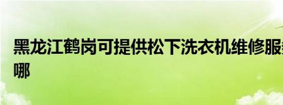 黑龙江鹤岗可提供松下洗衣机维修服务地址在哪
