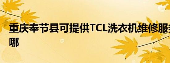 重庆奉节县可提供TCL洗衣机维修服务地址在哪