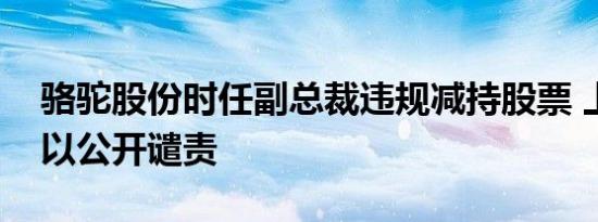 骆驼股份时任副总裁违规减持股票 上交所予以公开谴责