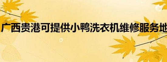 广西贵港可提供小鸭洗衣机维修服务地址在哪