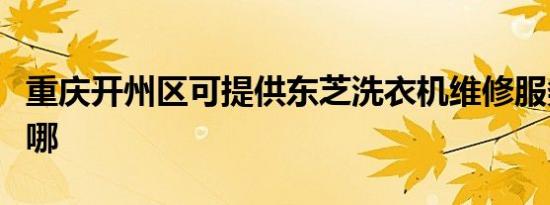 重庆开州区可提供东芝洗衣机维修服务地址在哪