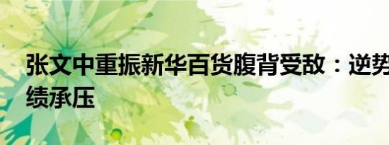 张文中重振新华百货腹背受敌：逆势扩张 业绩承压