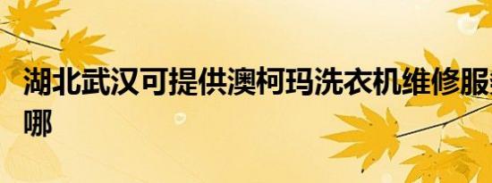 湖北武汉可提供澳柯玛洗衣机维修服务地址在哪