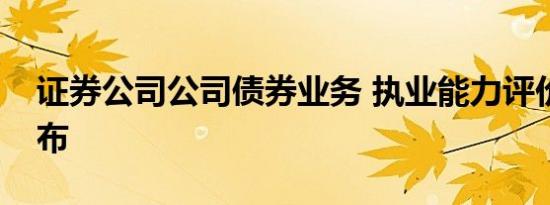 证券公司公司债券业务 执业能力评价办法发布