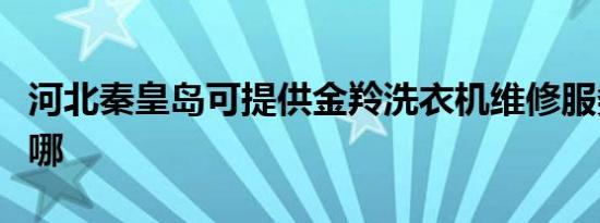 河北秦皇岛可提供金羚洗衣机维修服务地址在哪
