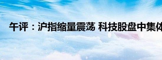 午评：沪指缩量震荡 科技股盘中集体回暖