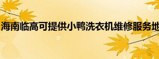 海南临高可提供小鸭洗衣机维修服务地址在哪