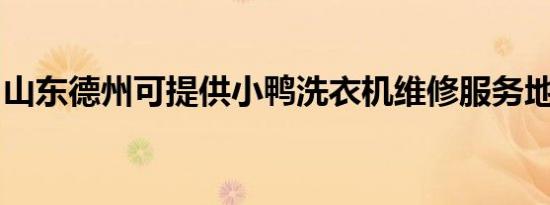 山东德州可提供小鸭洗衣机维修服务地址在哪