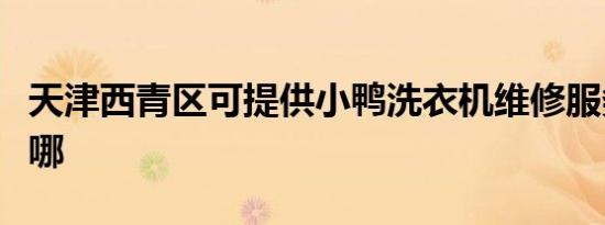 天津西青区可提供小鸭洗衣机维修服务地址在哪