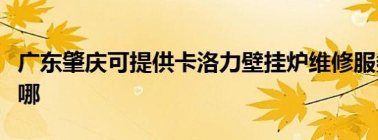 广东肇庆可提供卡洛力壁挂炉维修服务地址在哪