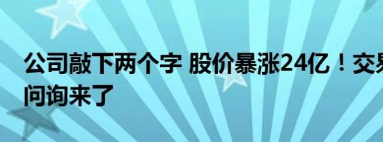 公司敲下两个字 股价暴涨24亿！交易所紧急问询来了