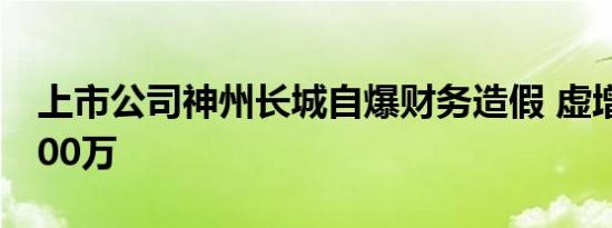 上市公司神州长城自爆财务造假 虚增利润3600万