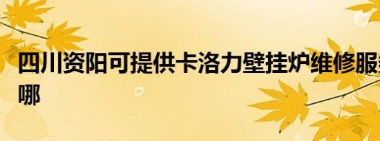 四川资阳可提供卡洛力壁挂炉维修服务地址在哪