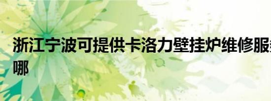 浙江宁波可提供卡洛力壁挂炉维修服务地址在哪