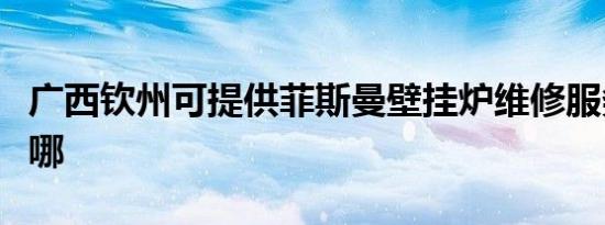 广西钦州可提供菲斯曼壁挂炉维修服务地址在哪