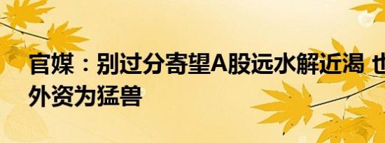 官媒：别过分寄望A股远水解近渴 也不能视外资为猛兽