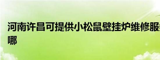 河南许昌可提供小松鼠壁挂炉维修服务地址在哪