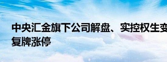 中央汇金旗下公司解盘、实控权生变 新开源复牌涨停