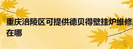 重庆涪陵区可提供德贝得壁挂炉维修服务地址在哪