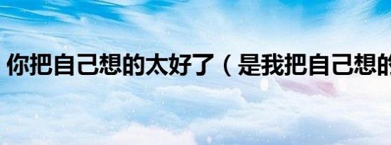 你把自己想的太好了（是我把自己想的太好）