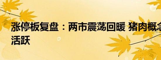 涨停板复盘：两市震荡回暖 猪肉概念股持续活跃