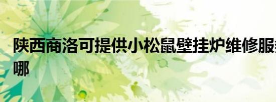 陕西商洛可提供小松鼠壁挂炉维修服务地址在哪