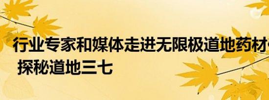 行业专家和媒体走进无限极道地药材供应基地 探秘道地三七