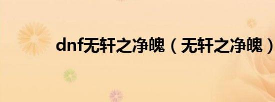 dnf无轩之净魄（无轩之净魄）