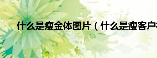 什么是瘦金体图片（什么是瘦客户机）