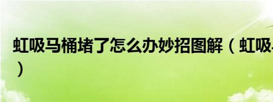 虹吸马桶堵了怎么办妙招图解（虹吸马桶原理）