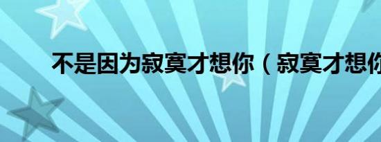 不是因为寂寞才想你（寂寞才想你）
