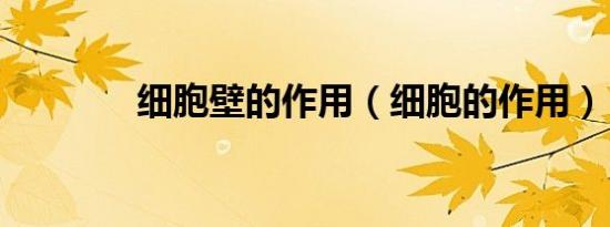 细胞壁的作用（细胞的作用）