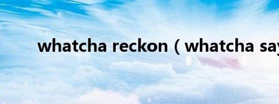 whatcha reckon（whatcha say）