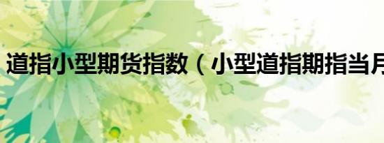 道指小型期货指数（小型道指期指当月连续）