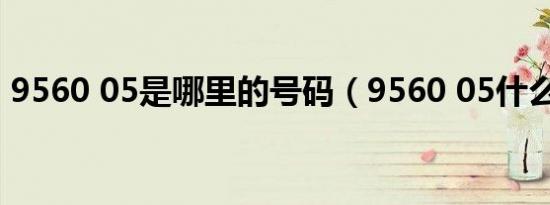 9560 05是哪里的号码（9560 05什么号码）