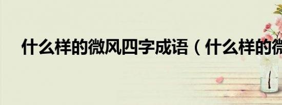 什么样的微风四字成语（什么样的微风）