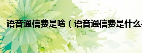 语音通信费是啥（语音通信费是什么费用）