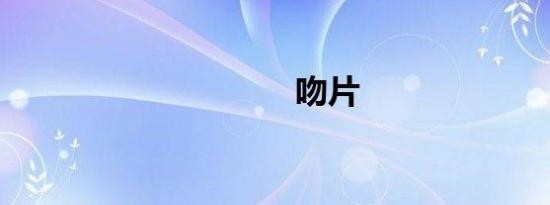 吻片