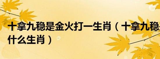 十拿九稳是金火打一生肖（十拿九稳是金火是什么生肖）