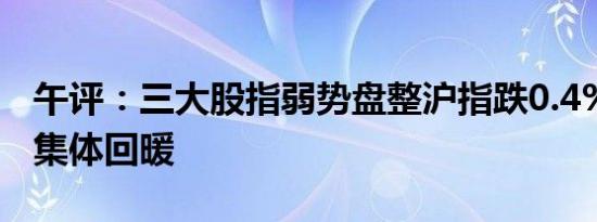 午评：三大股指弱势盘整沪指跌0.4% 养殖股集体回暖