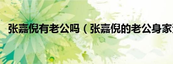 张嘉倪有老公吗（张嘉倪的老公身家资料）