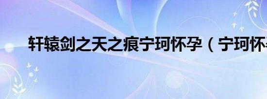 轩辕剑之天之痕宁珂怀孕（宁珂怀孕）
