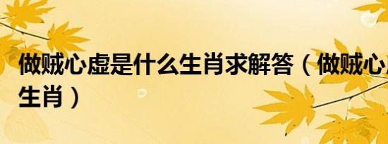 做贼心虚是什么生肖求解答（做贼心虚是什么生肖）