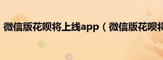 微信版花呗将上线app（微信版花呗将上线）