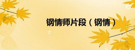 钢情师片段（钢情）