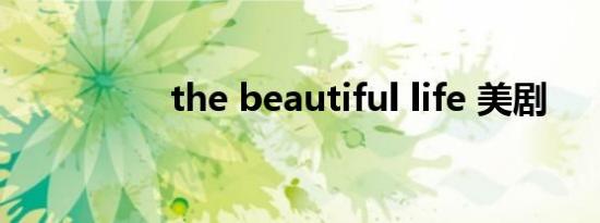 the beautiful life 美剧